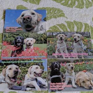 盲導犬募金活動御礼m(_ _)m − 愛知県