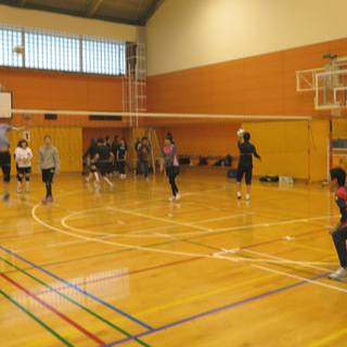土曜夜に参加できる方を募集中です！バレーボールサークル（初心者歓迎・大人エンジョイ志向） - 川口市