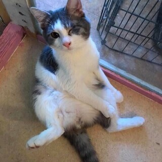 スコ座りが得意な がっちゃん