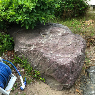 大きめの庭石