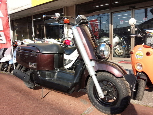 NO.2699　ＶＯＸ（ヴォックス）　水冷４サイクルエンジン　ＦＩ車　ブラウンメタリック　☆彡