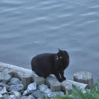 自己啓発本が好きな人 - 熊本市