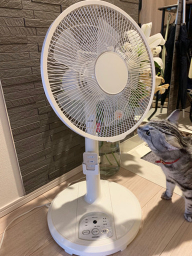 更新～リモコン式扇風機譲ります