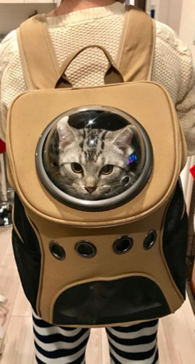 宇宙船猫バックを譲ります