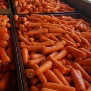 野菜の出荷調整作業のお仕事して頂ける方アルバイト募集しています。の画像