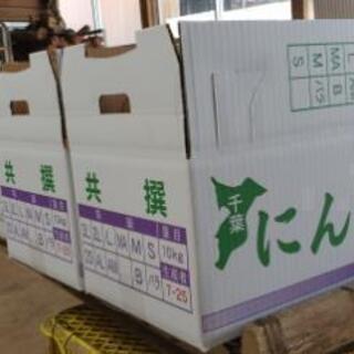 野菜の出荷調整作業のお仕事して頂ける方アルバイト募集しています。の画像