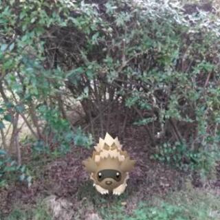 ポケモンGOフレンド募集
