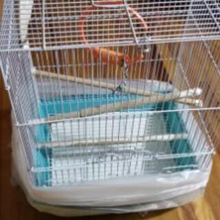 鳥かご