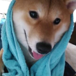 決まりました！