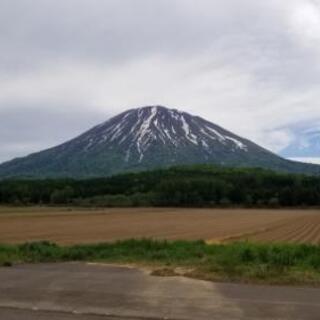 現場内補助作業※急募！の画像