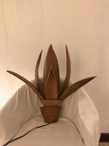 壁掛け用 ヤシランプ