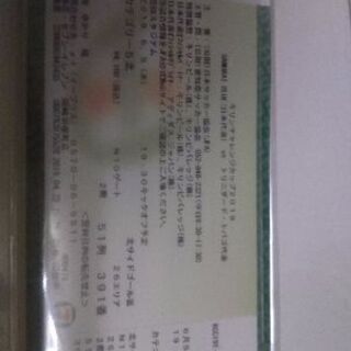 サッカー日本代表券