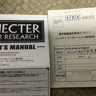 エレキギター シェクター SCHECTER NV-Ⅳの画像