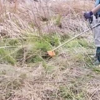 除草/伐採・剪定、さらには砂利入、防草・除草処理まで