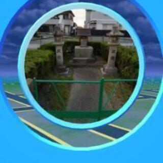 ポケモンgo仲間
