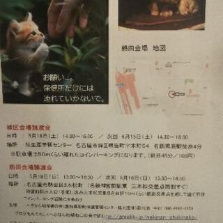 譲渡会を開催します。