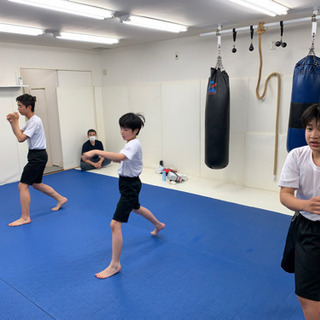 キックボクシング、柔術、MMAの画像