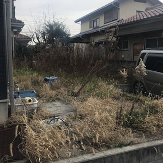 刈り込み。手入れ。草刈りなど！