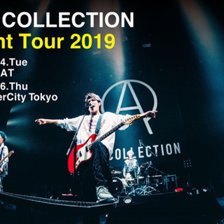 ACECOLLECTION 6/6 zepp tokyo 2枚