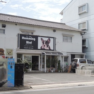 ペットショップで　子犬のケージを　お掃除してくださいの画像