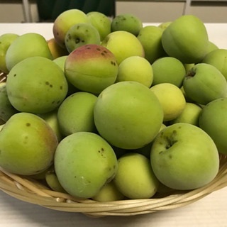 【南高梅 M〜L 1㎏ 1000円 】無農薬 オーガニック