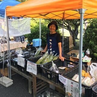 【ブース出店大募集！】JUJO Green Market（十条グリーンマーケット）vol.17＜会場：京都市南区＞ - イベント
