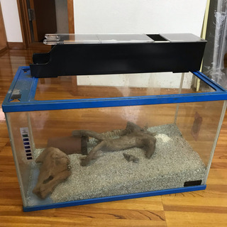 貰って下さい！の画像