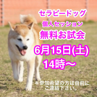 セラピードッグ個人セッション無料お試し体験会