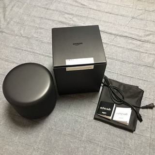 Amazon echo sub