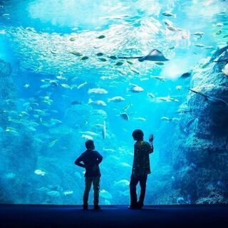 海の幽霊