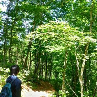登山・トレッキングメンバー募集