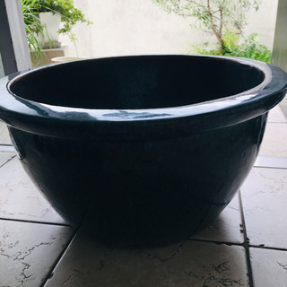 【大型睡蓮鉢】金魚 メダカ  ビオトープ　重量品
