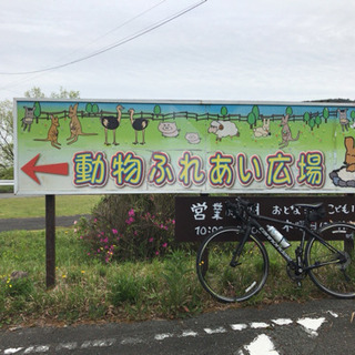 一緒にサイクリングできる人募集します。