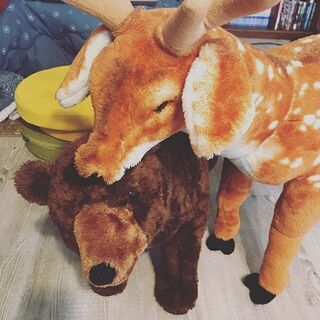 だめになれるカフェ＆バー　やいさほー　アルバイト募集します！！！の画像