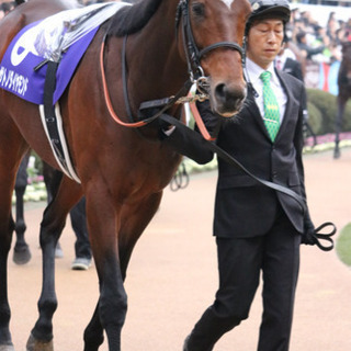 乗馬やりたい