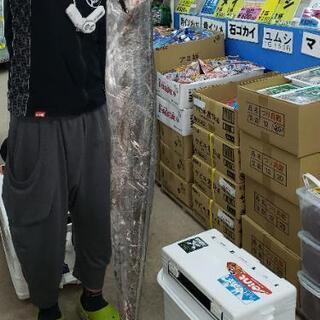 釣り友なってもらえると嬉しいです
