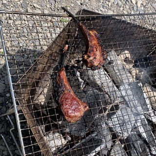 キャンプする仲間を募集 - 友達