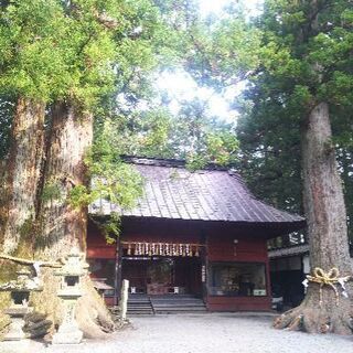 手相占い、佐和菜で鑑定、赤シャツの手相占い師