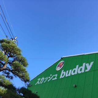 宮崎スカッシュクラブbuddy(バディ)