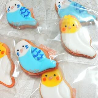 レッスン生徒応募中！！里庄笠岡の画像