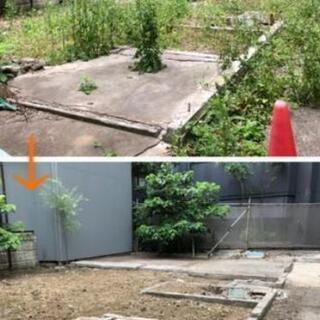 【草むしり】・【除草】・【庭木のお手入れ】承ります。おすすめします。 - 剪定/造園