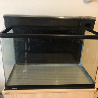 受付終了しました。60㌢水槽 上部フィルターポンプ付き  曲がり...