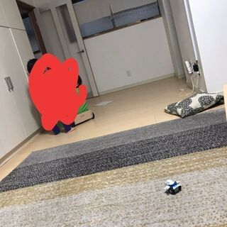 カーペット ラグの画像