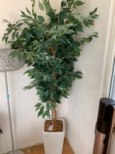 フェイク観葉植物