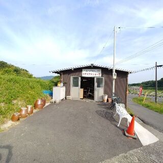 本日大量に入荷しました。お気に入りが　あるかと思いです。