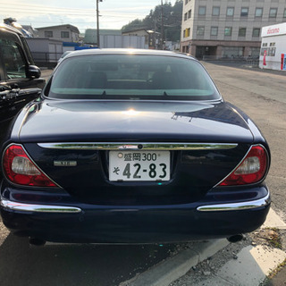 jaguar の画像