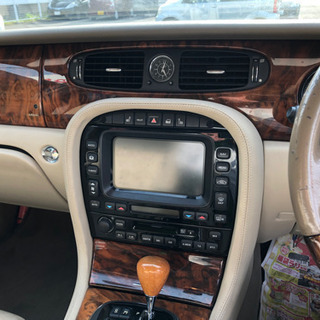 jaguar の画像