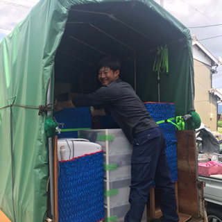 格安引っ越し - 引っ越し