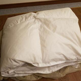 交渉中　子供用　洗える羽毛布団