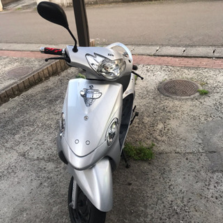 引き取り先決定 